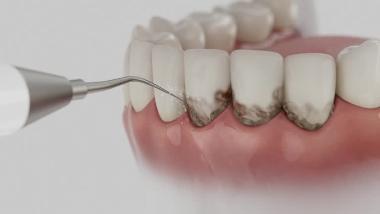 Reliable Dental contractor in Waverly, VA by Dentist Open Now